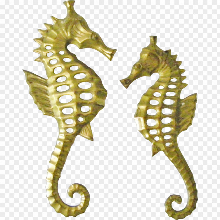 Seahorse West African Syngnathiformes Wall Hanging Ceramic Fish PNG