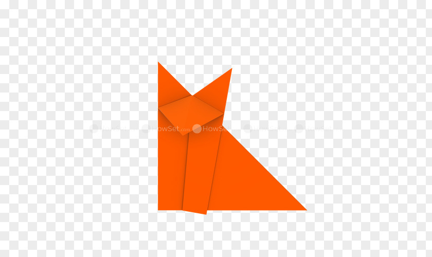 Sushi Handmade Lesson Origami Paper Drawing Kawaii Fox PNG