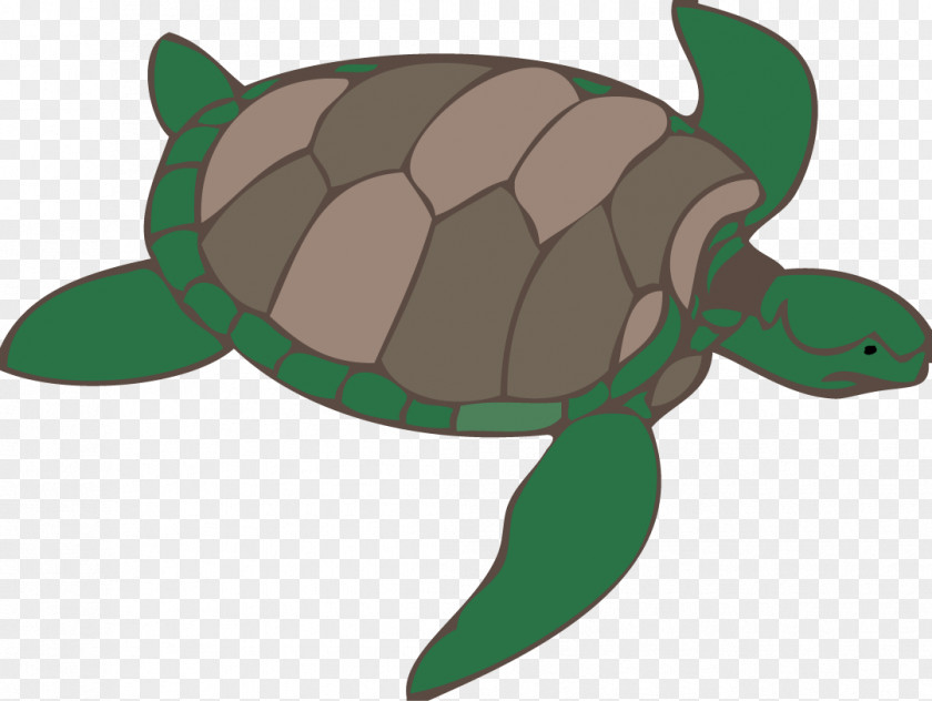 Ten Li Peach Blossom Green Sea Turtle Clip Art PNG