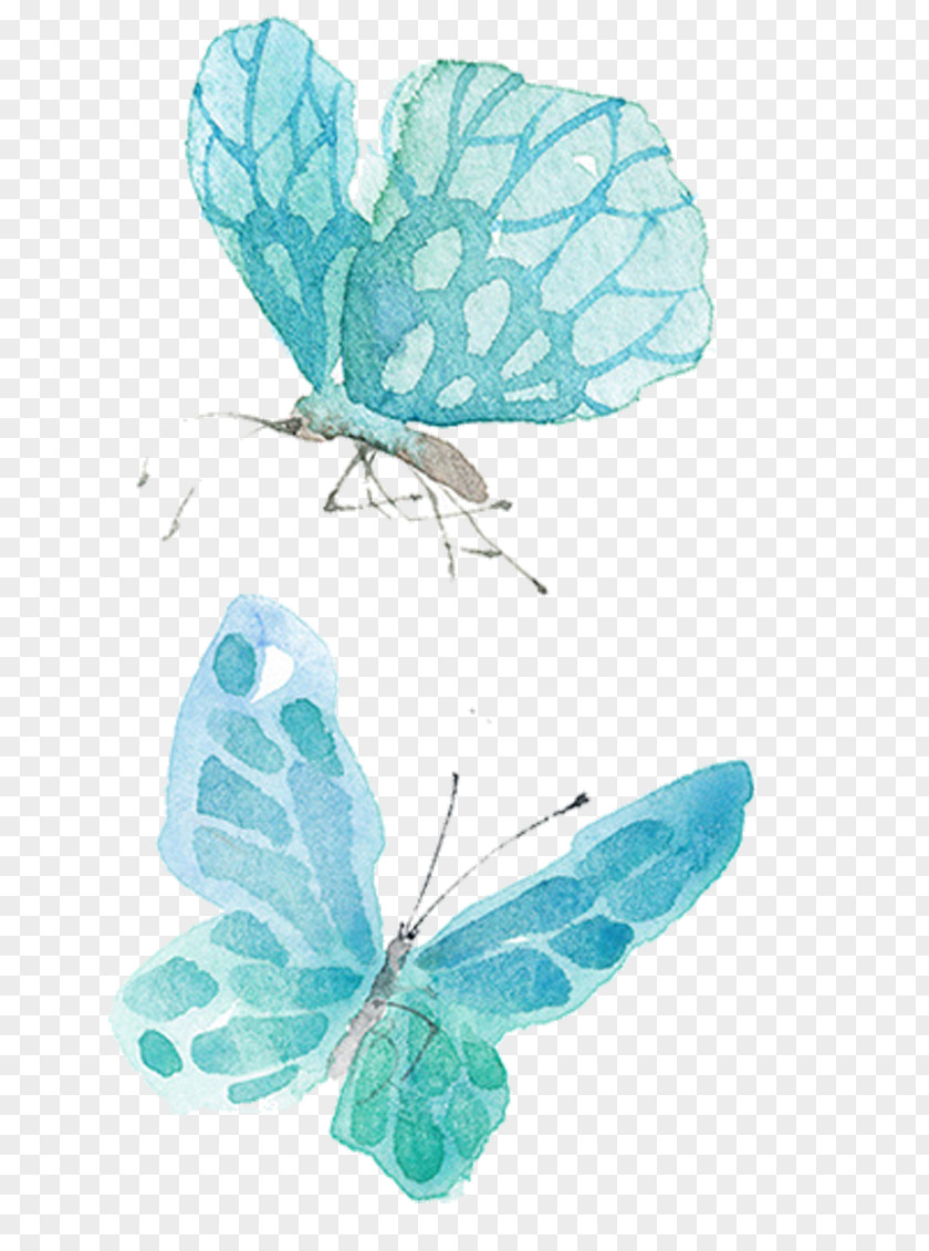 Blue Butterfly Watercolor Painting Drawing Illustration PNG