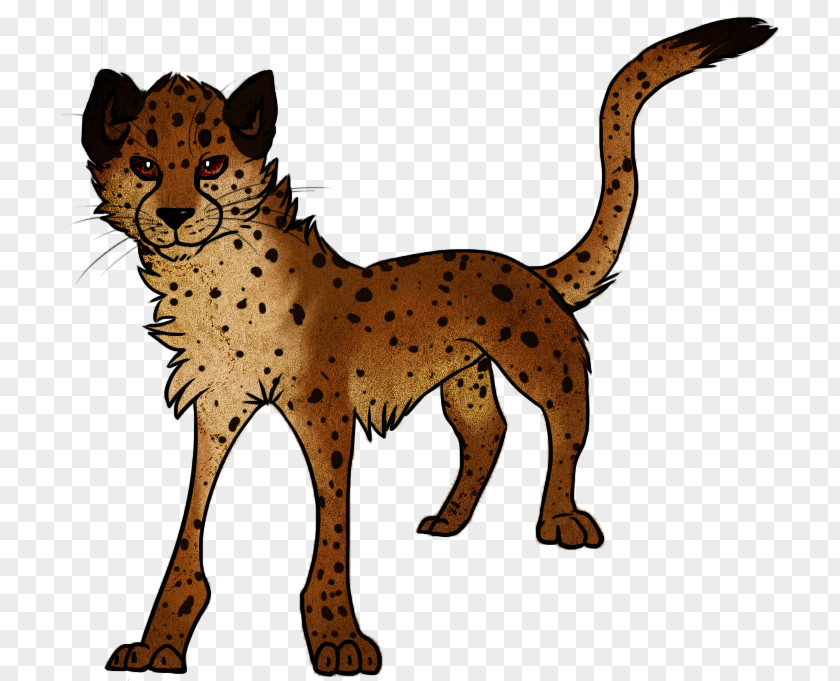 Cheetah Cat Lion Mammal Carnivora PNG
