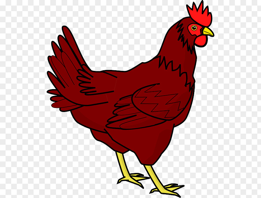 Chicken Transparent Image Cochin The Little Red Hen Clip Art PNG