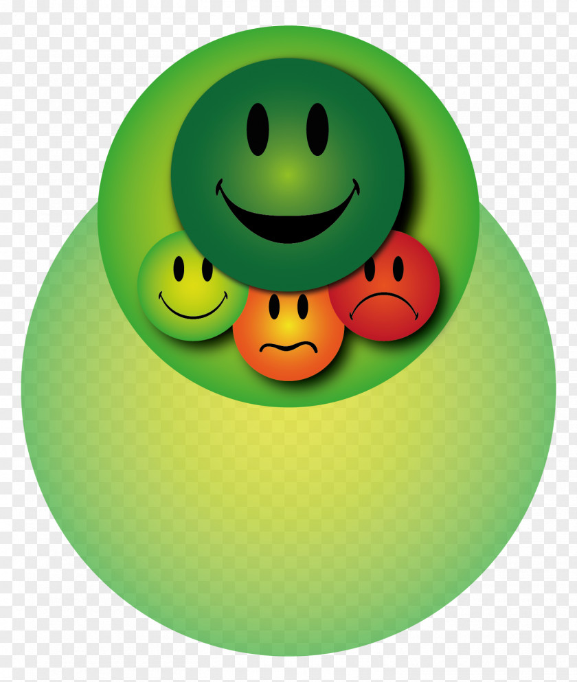 Emotions Customer Satisfaction Contentment Evaluation Smiley PNG