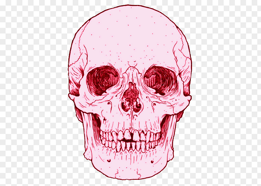Fortnite Overlay Sticker Wall Decal Calavera Label PNG