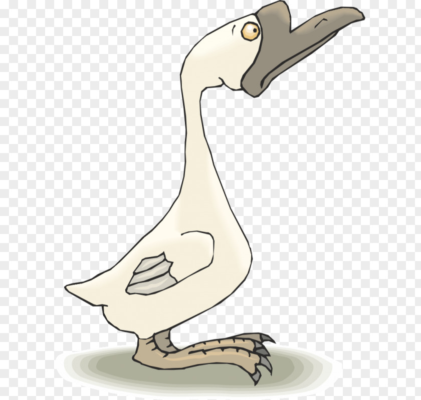 Goose Cygnini Duck Clip Art PNG