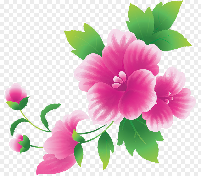 Large Pink Flowers Clipart Clip Art PNG