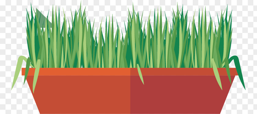 Vector Creative Green Meadow Grass Herbaceous Plant PNG