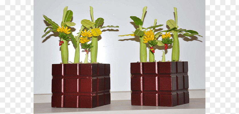 Wood Flowers Floral Design Vase PNG