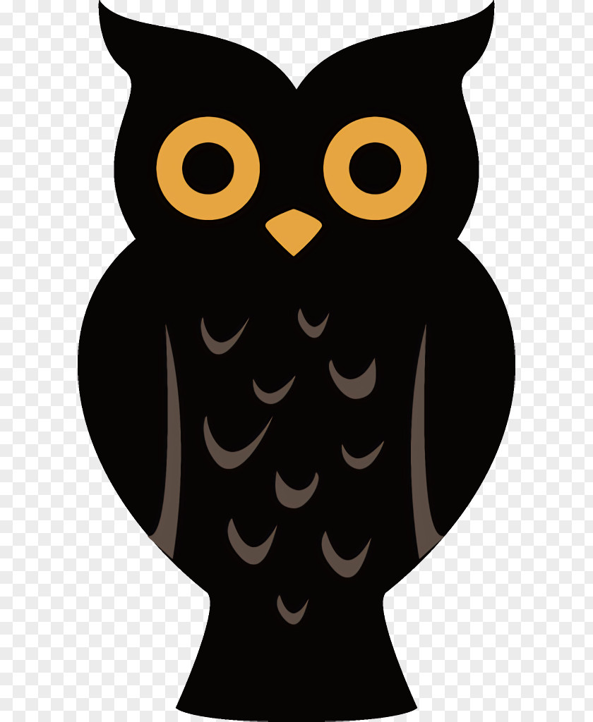 Cat Eastern Screech Owl Halloween PNG