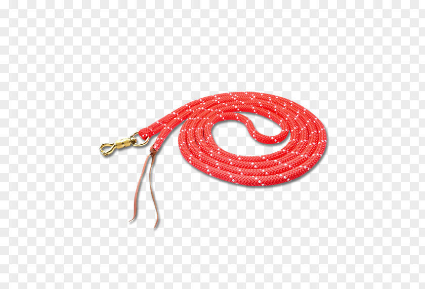 Horse Lead Equestrian Rope Dressage PNG