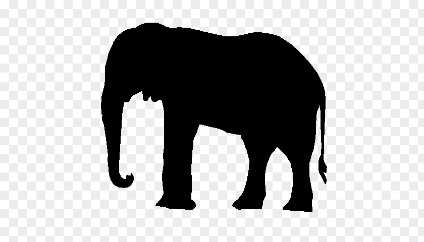 M Terrestrial Animal African Elephant Indian Black & White PNG