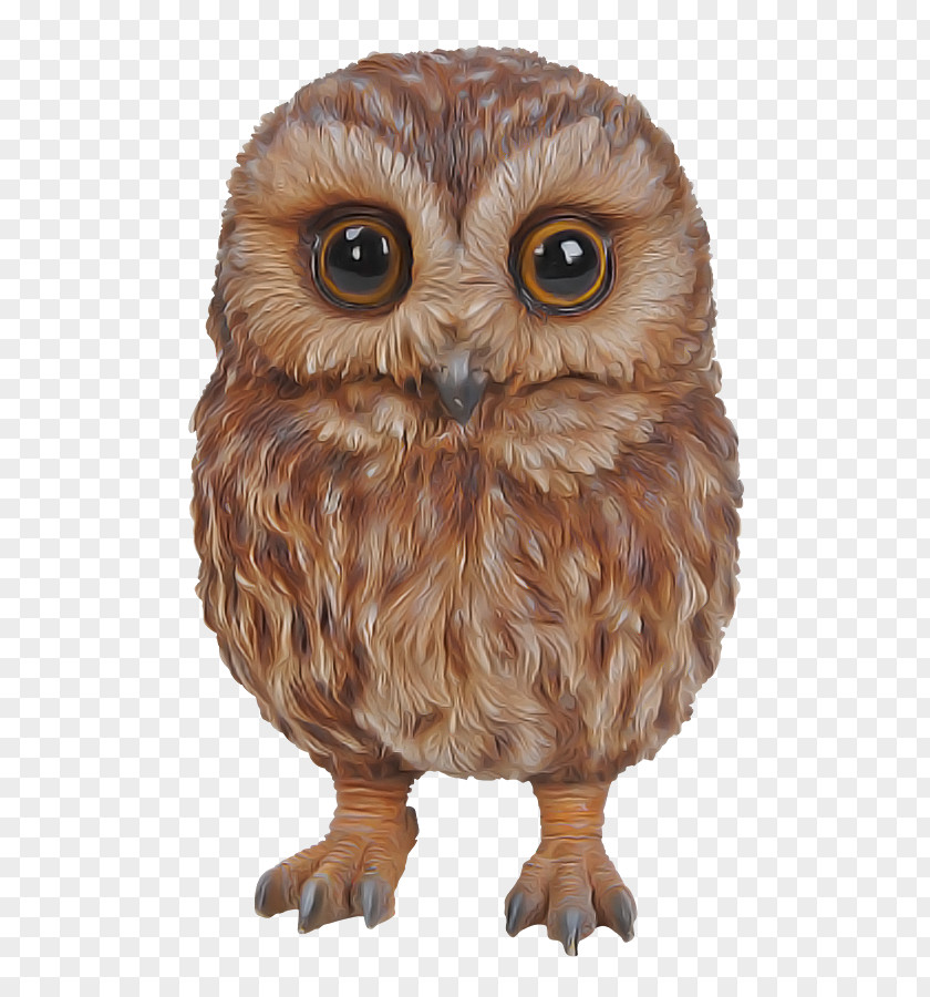 Owl Bird Of Prey Brown Animal Figure PNG