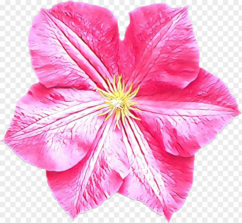 Petal Flower Pink Plant Leaf PNG
