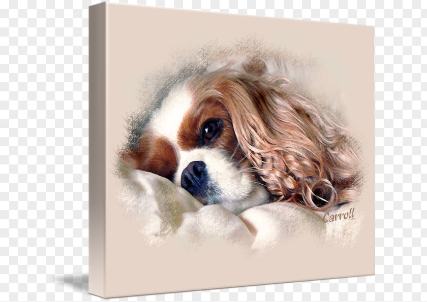 Puppy Cavalier King Charles Spaniel English Cocker Dog Breed PNG
