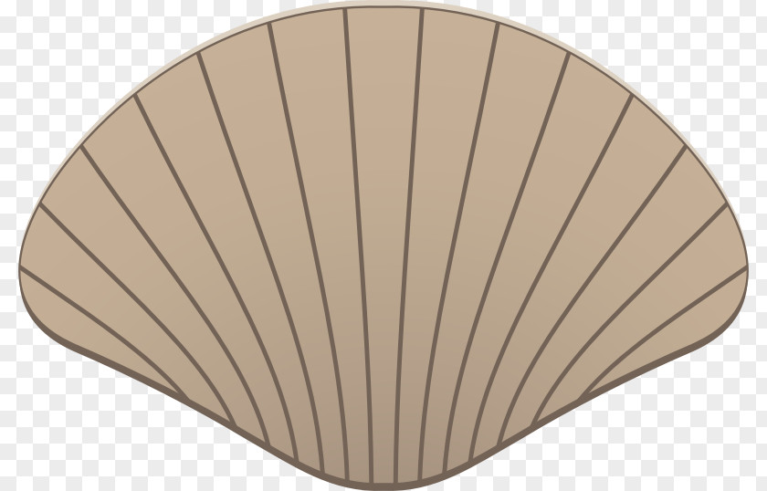 Seashell Clip Art Cartoon Image Illustration PNG