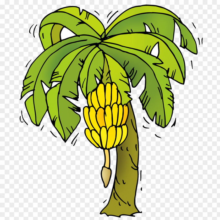 Bananatree Infographic Clip Art Banana Vector Graphics Image PNG