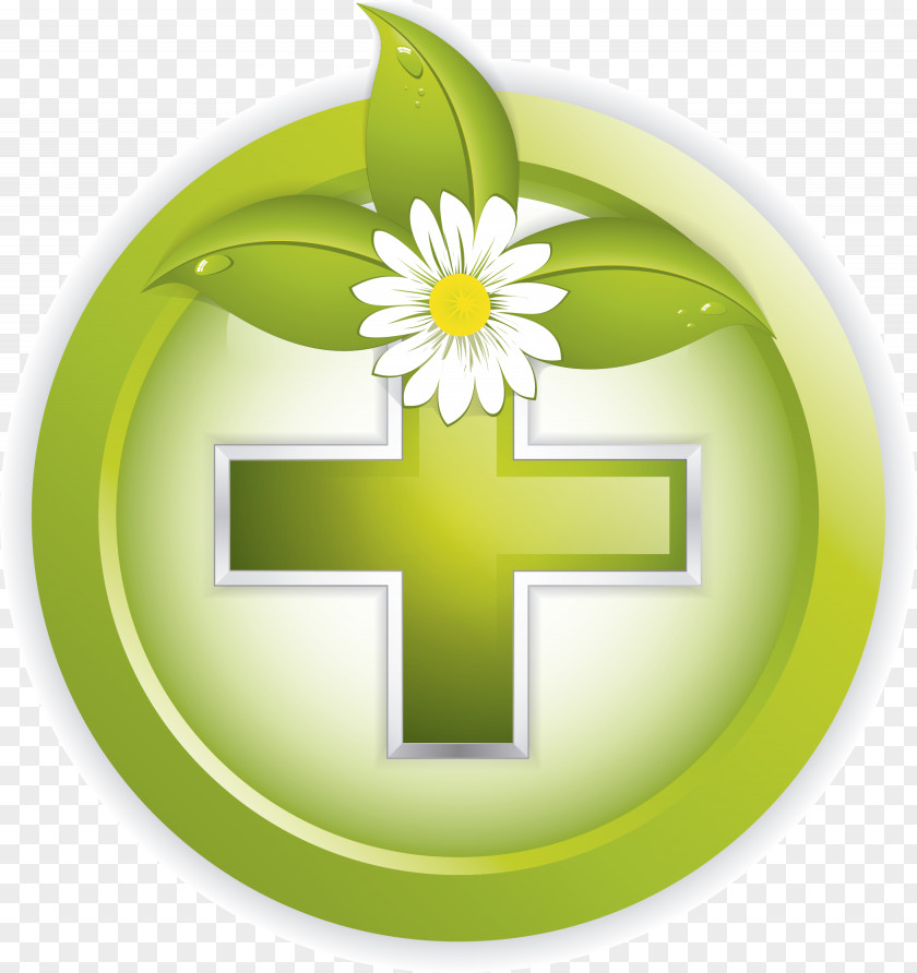 España Green Product Design Flower Symbol PNG