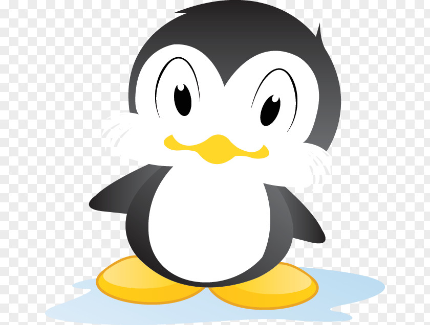 Penguin Animated Film Desktop Wallpaper Clip Art PNG