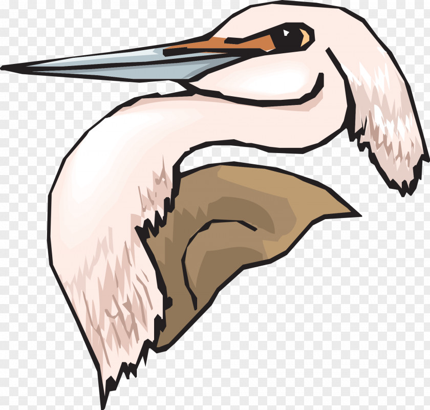 Pink Bird Great Blue Heron Clip Art PNG