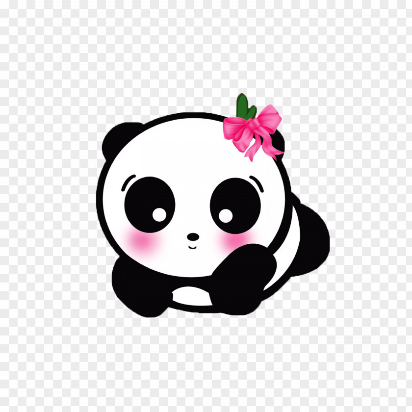 Plant Bear Panda PNG