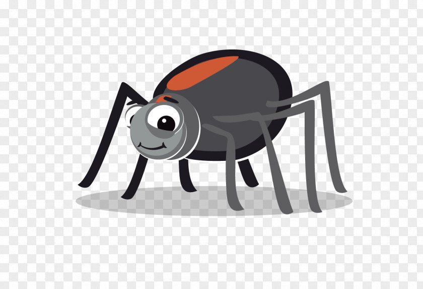 Spider Vector Material Insect Euclidean PNG