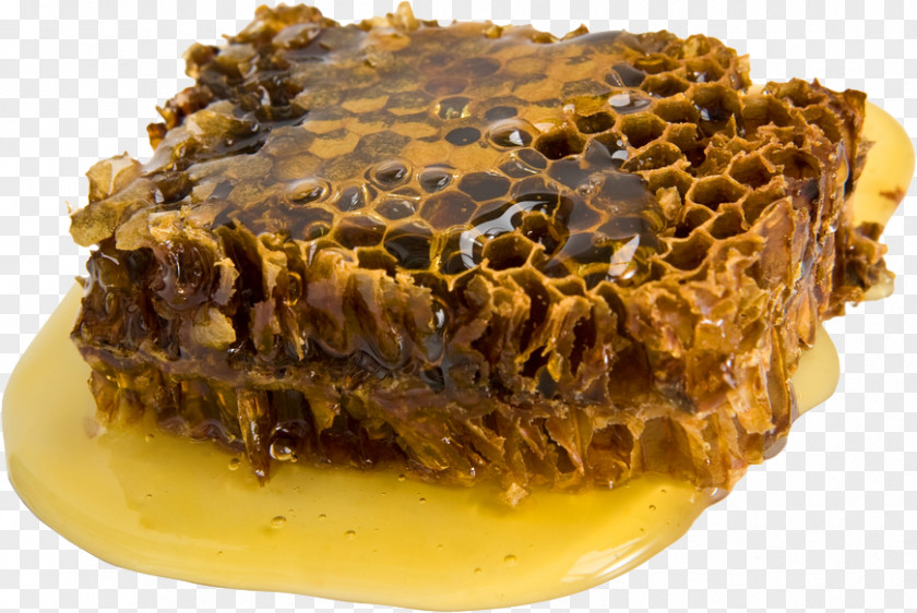 Bee Propolis Beeswax Tincture Honey PNG