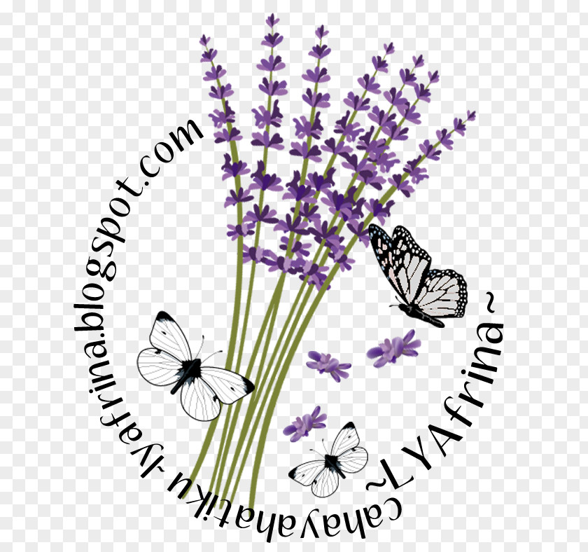 Butterfly Insect Cut Flowers Plant Stem PNG