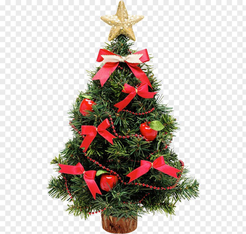 Christmas Tree Rose PNG