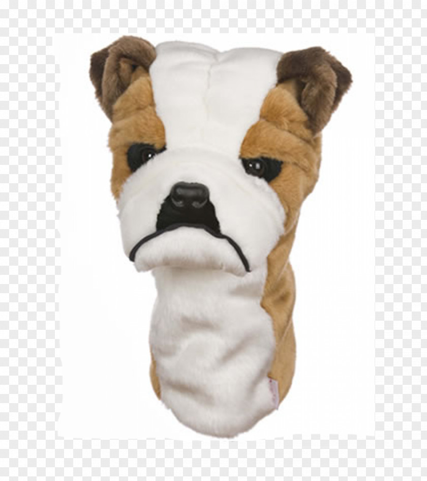 Georgia Bulldogs French Bulldog Pit Bull Boston Terrier Jack Russell PNG