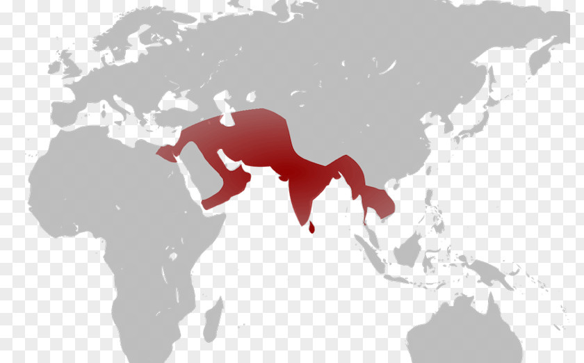 Globe Early World Maps PNG