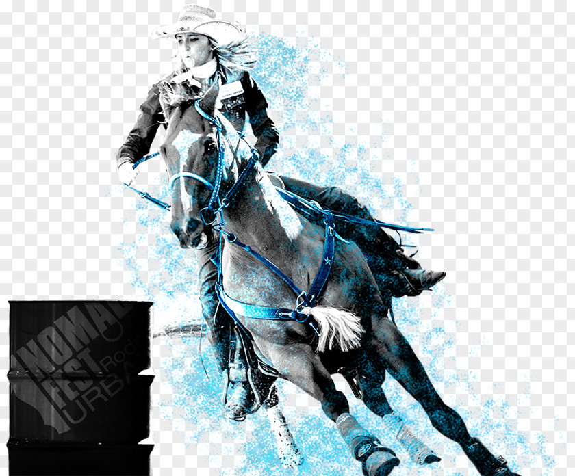 Horse Desktop Wallpaper Knight Computer PNG