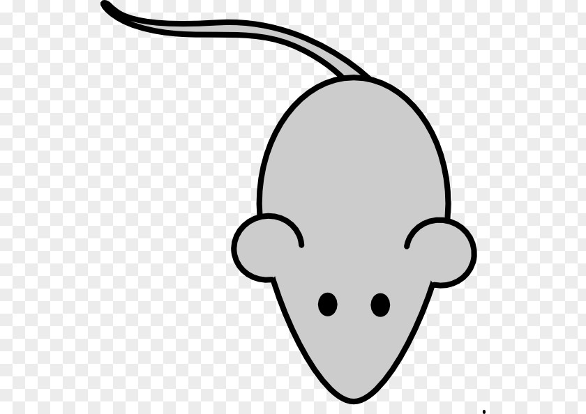 Mouse Laboratory Drawing Clip Art PNG