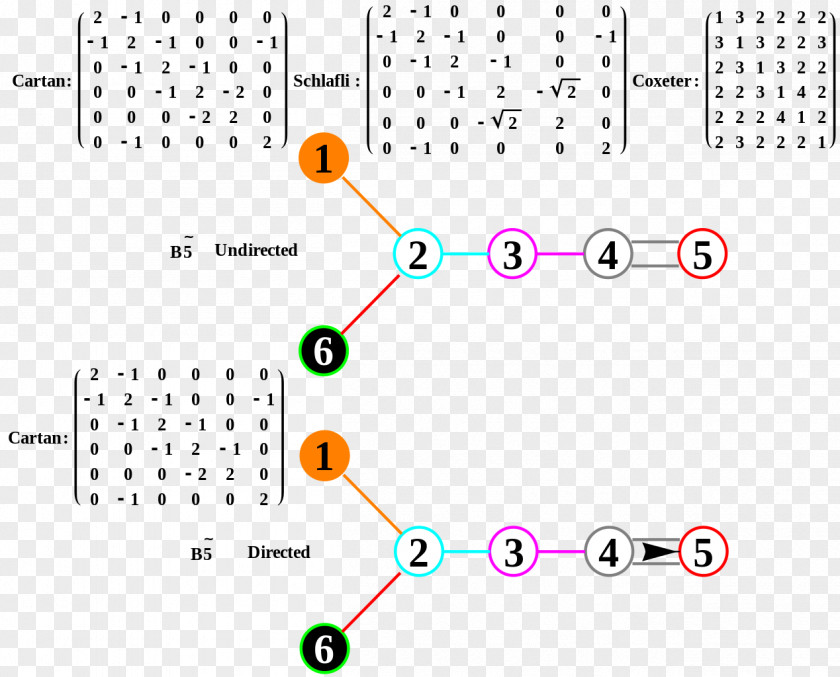 Binary Pattern Circle PNG