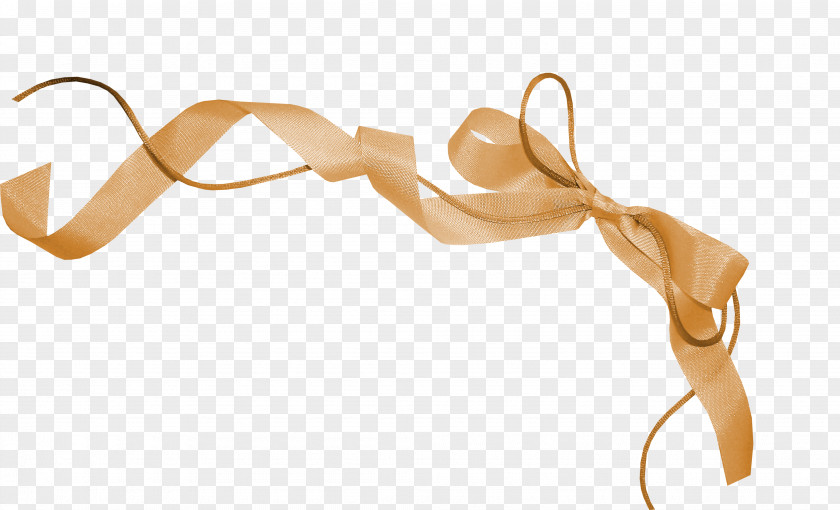 Bow Shoelace Knot Ribbon Google Images Download PNG