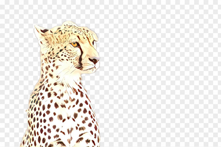 Cheetah Wildlife Head Animal Figure Small To Medium-sized Cats PNG