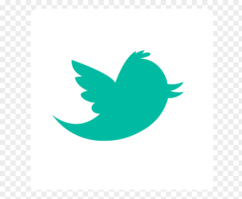 Enthusiasm SKMurphy Inc. Social Media Blog Hashtag Twitter PNG