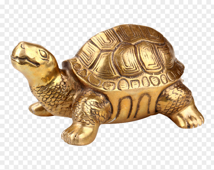 Longevity Turtle Ornaments Box Copper Brass PNG