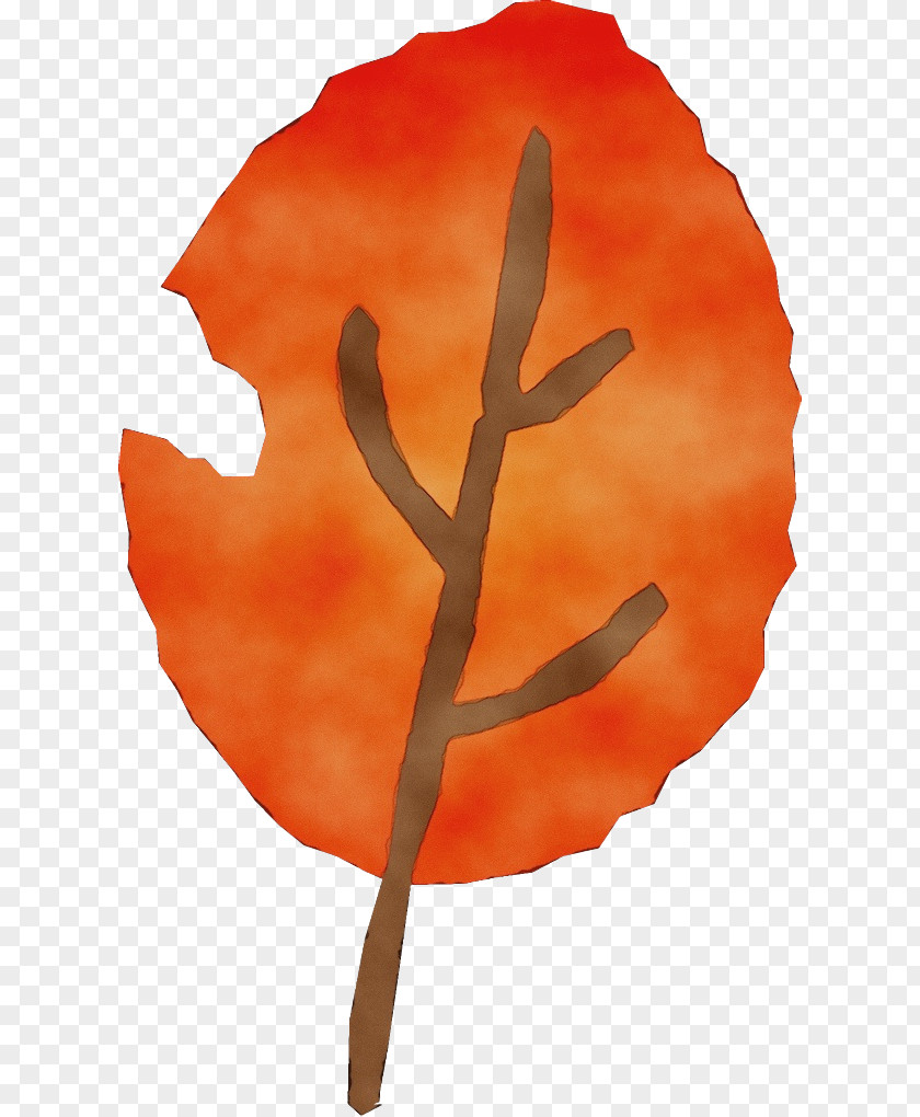 Plant Stem Flower Orange PNG