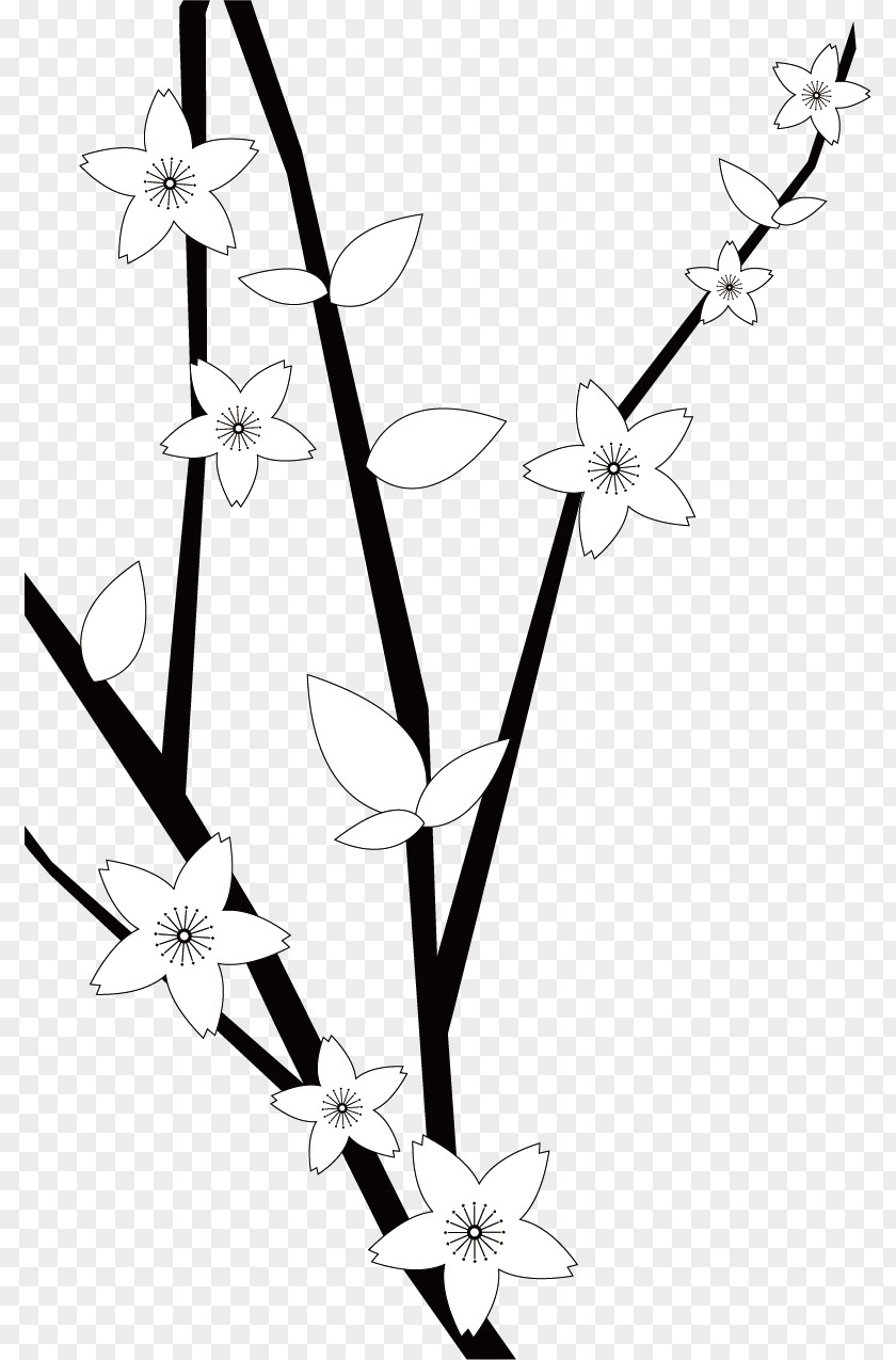 Black Plum Vector Snow Blossom PNG