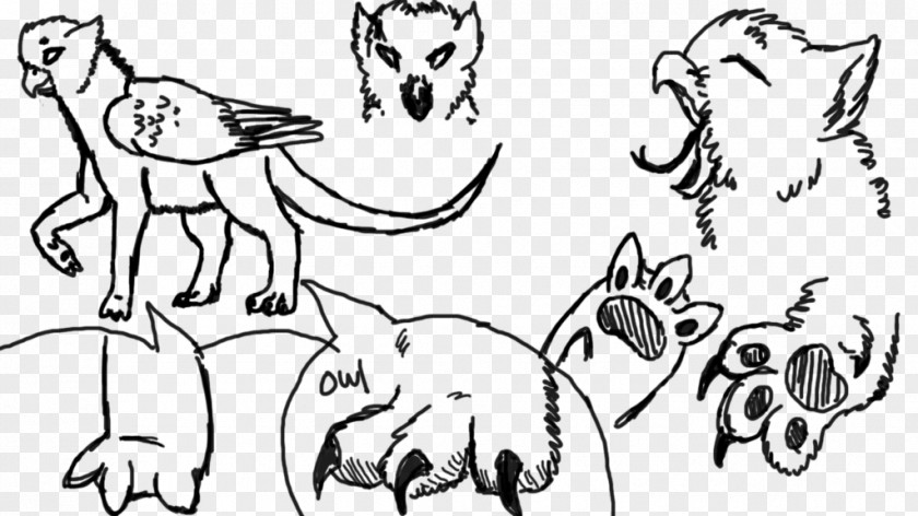 Dog Claw Free Buckle Chart Canidae Cat Homo Sapiens Line Art Sketch PNG