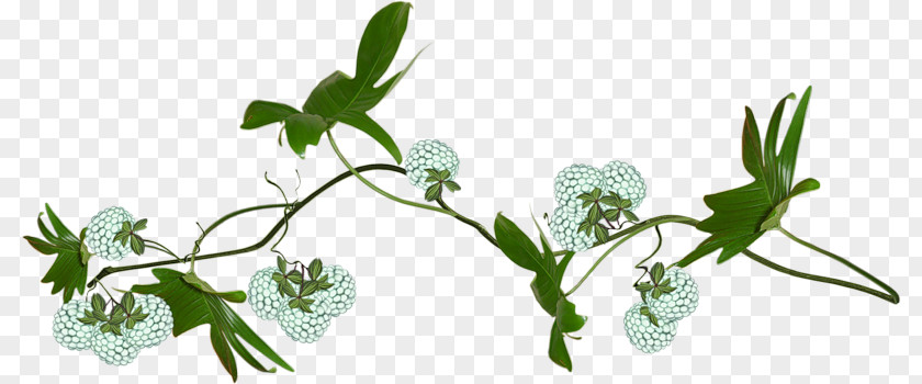 Ignorant Branch Floral Design Cut Flowers Grasses Herb PNG