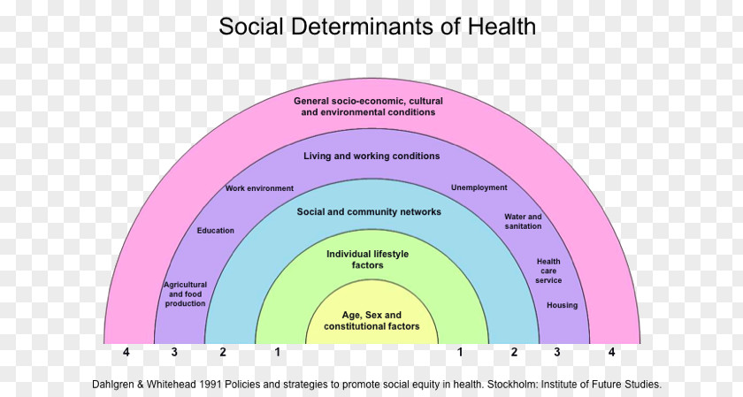 Public Benefit Activities Social Determinants Of Health Care Population PNG