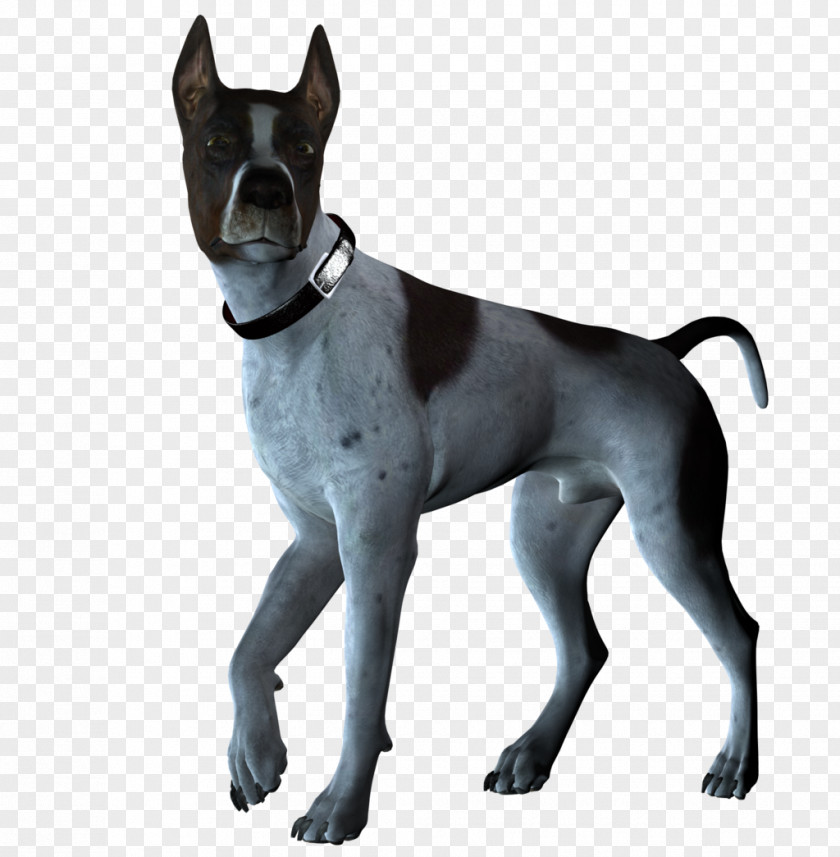 Dogs Great Dane DeviantArt Clip Art PNG