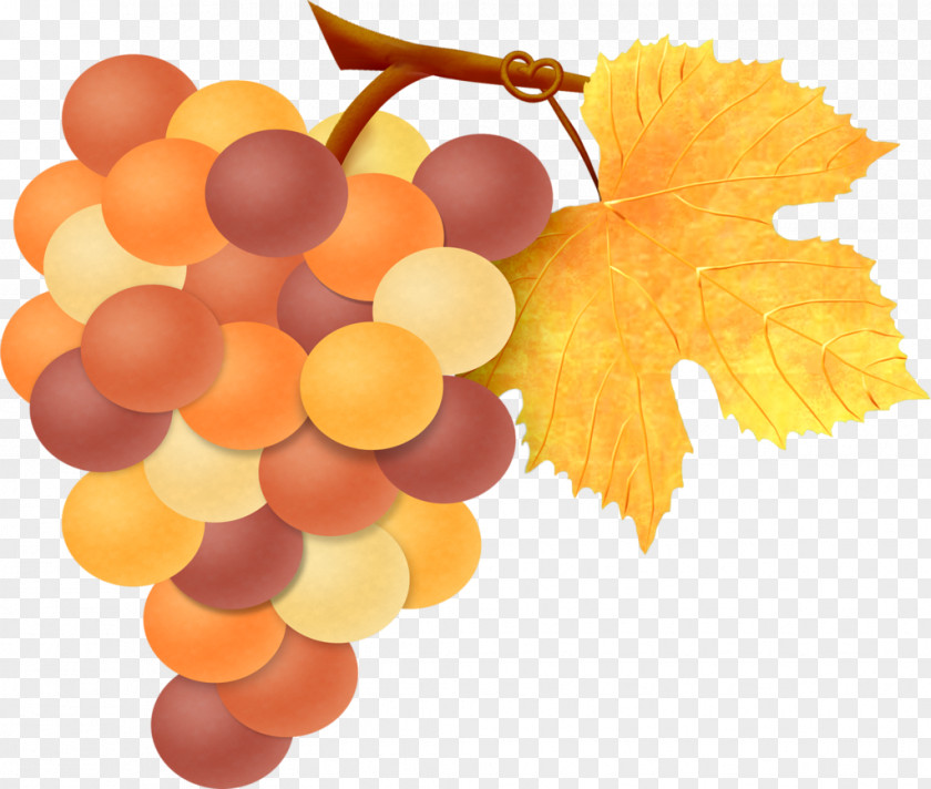 Vector Painted Grapes Grape Leaves Fruit PNG