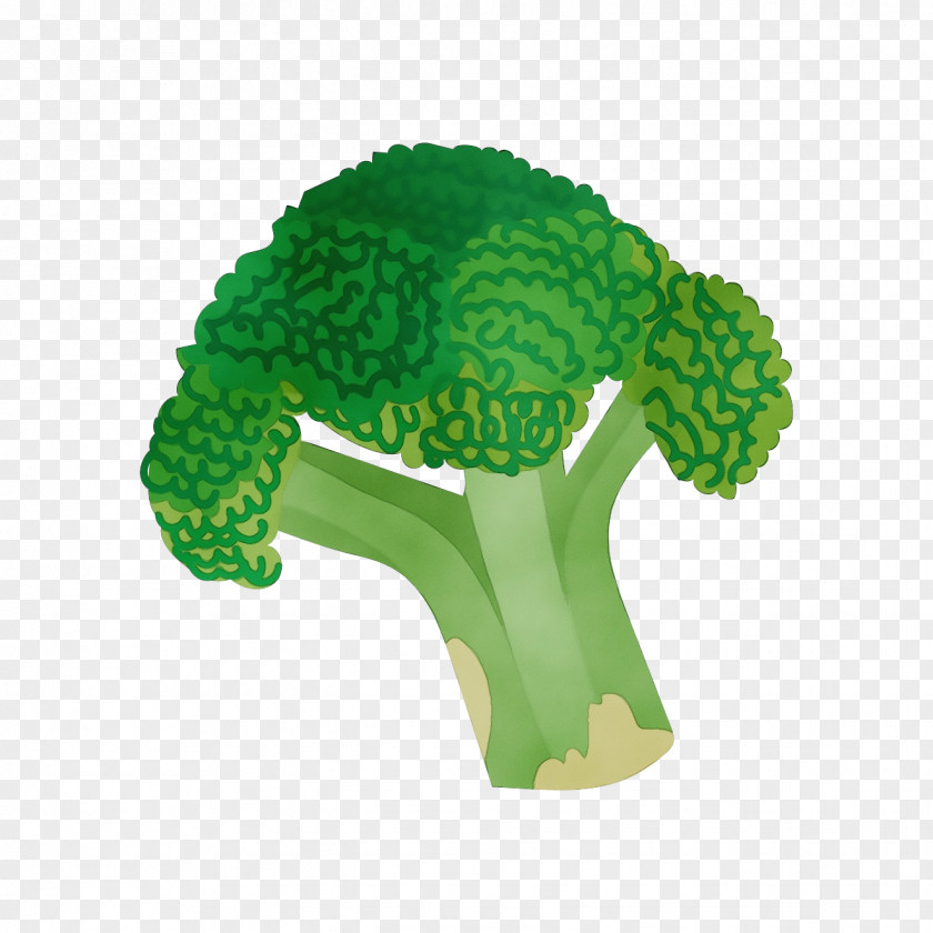 Vegetable Plant Green Broccoli Cruciferous Vegetables Leaf Grass PNG