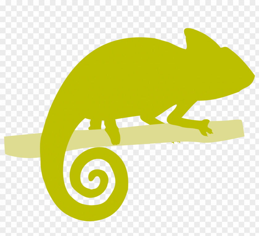 Amphibian Carnivora Rodent Reptile Clip Art PNG