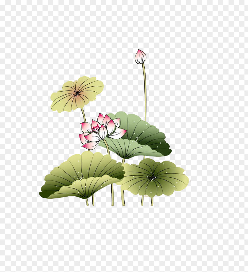 Lotus Leaf IPad Ink Wash Painting Download Wallpaper PNG
