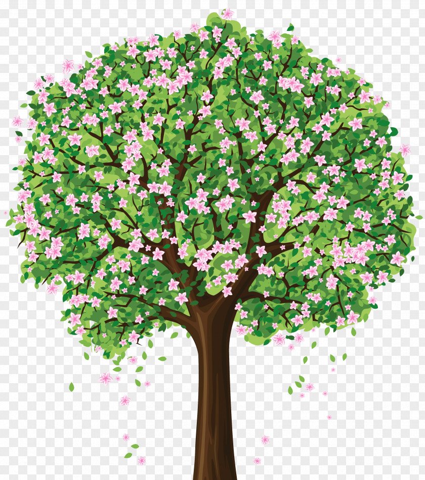 Tree Spring Blossom Clip Art PNG
