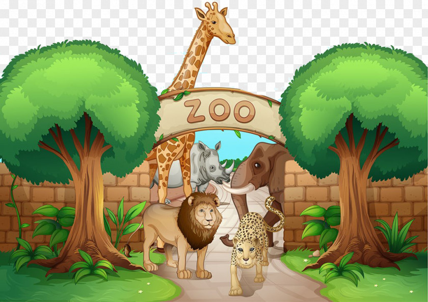 Cartoon Zoo Material Lion Giraffe Leopard Illustration PNG