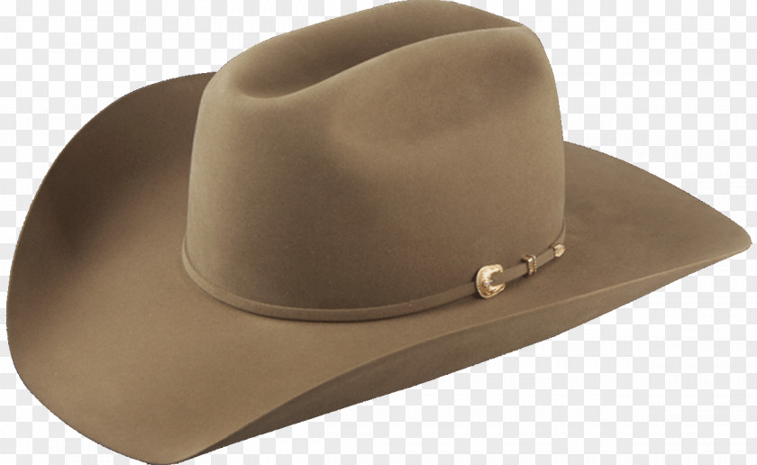Glory of kings American Hat Company Cowboy Stetson PNG